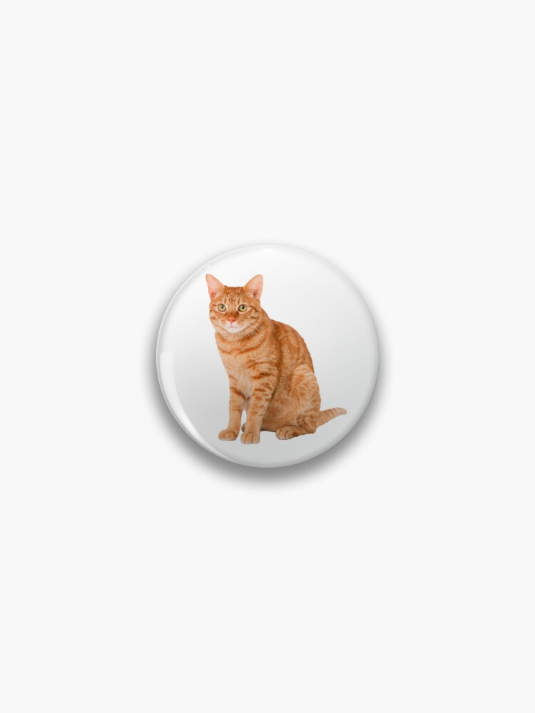 Orange Tabby Cat | Pin