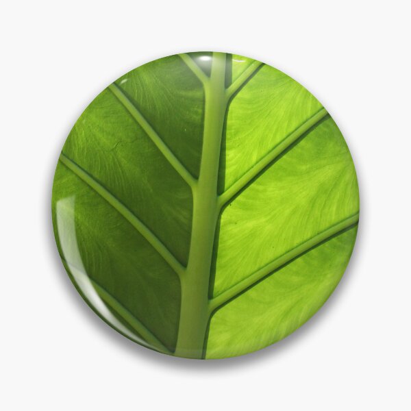 Item preview, Stunning elephant ear plant. designed and sold by grey-hand-art.