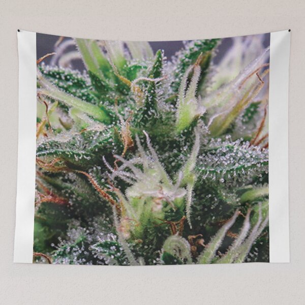Item preview, Trichome 12 designed and sold by Trichome.