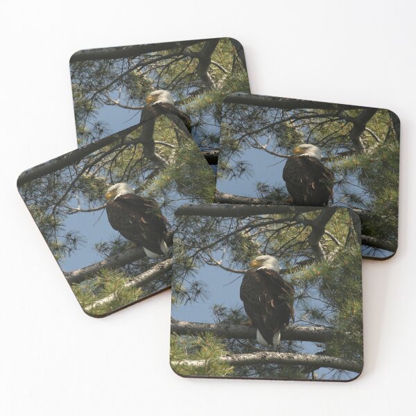 Item preview, Mother Bald Eagle  designed and sold by locustgirl.