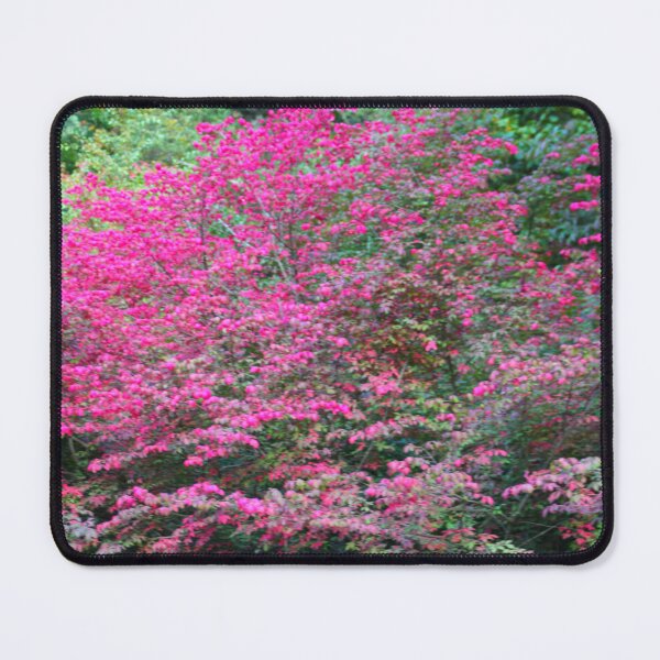 Item preview, Prettiest Purple Shrub designed and sold by CapeCodGiftShop.
