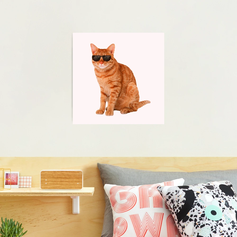 Funny Orange Tabby Cat with Sunglasses