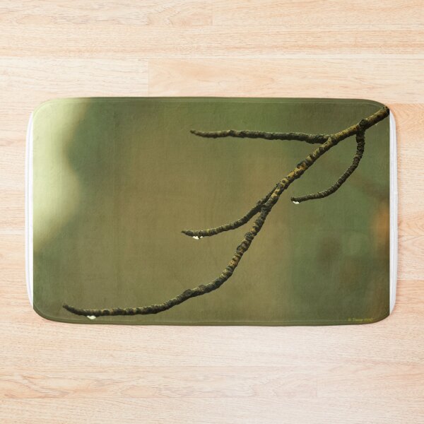 Item preview, Bare Cottonwood Branch with Raindrops designed and sold by Vivar Photo.