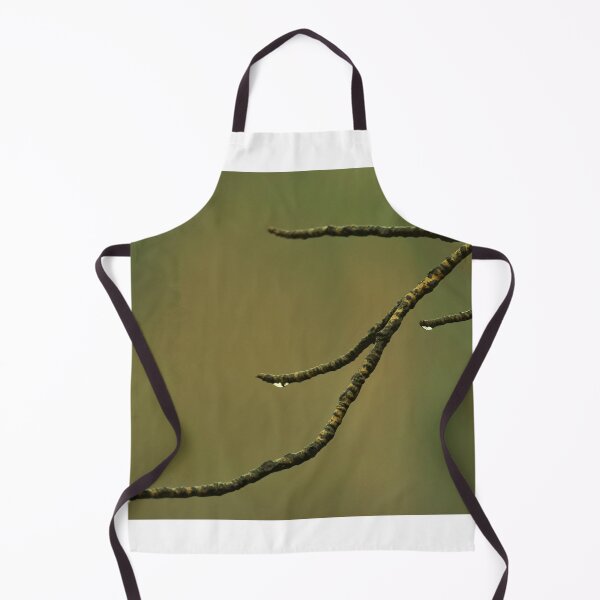 Item preview, Bare Cottonwood Branch with Raindrops designed and sold by Vivar Photo.