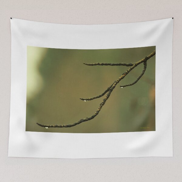 Item preview, Bare Cottonwood Branch with Raindrops designed and sold by Vivar Photo.