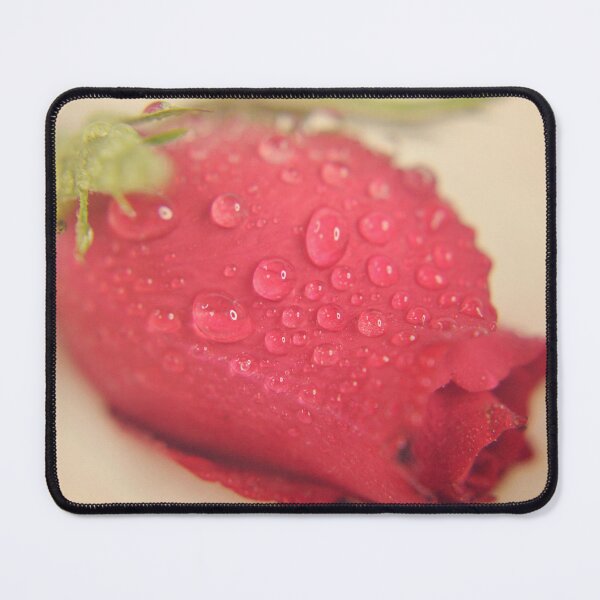 Item preview, Lead Away From Home designed and sold by Denise Abé.