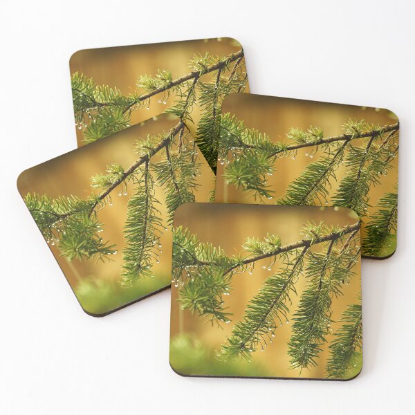Item preview, Pine Branches with Raindrops on a Golden Background. designed and sold by Vivar Photo.