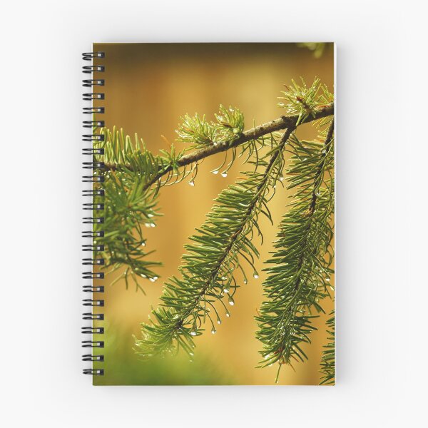 Item preview, Pine Branches with Raindrops on a Golden Background. designed and sold by Vivar Photo.