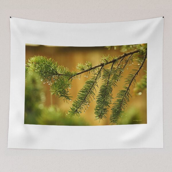 Item preview, Pine Branches with Raindrops on a Golden Background. designed and sold by Vivar Photo.