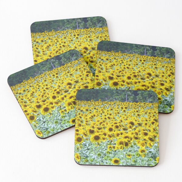 Item preview, Sunflower, Saraburi, Thailand designed and sold by morrisophotography.