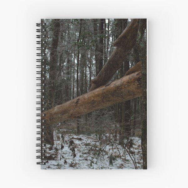 Item preview, Timber designed and sold by katbphotos.
