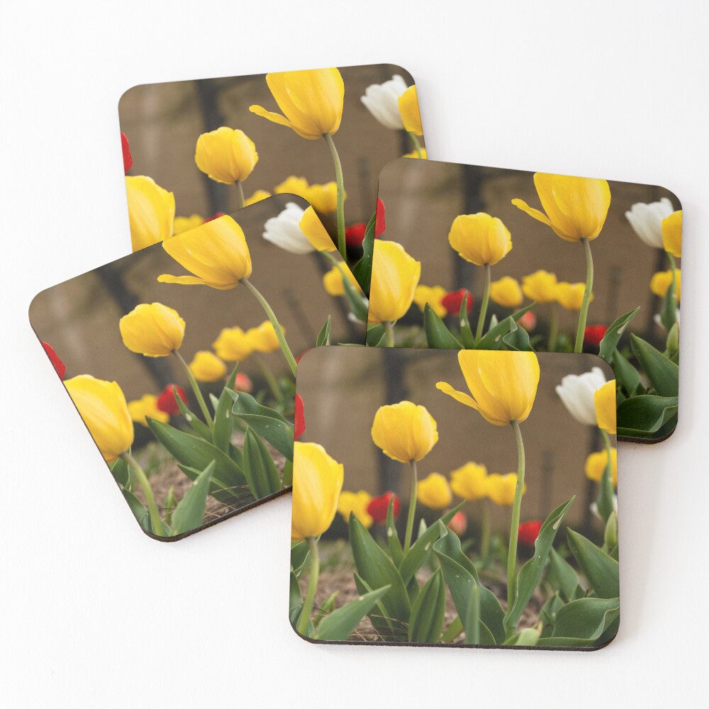 Item preview, Coasters (Set of 4) designed and sold by katbphotos.