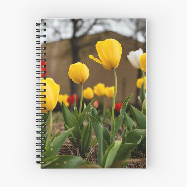 Item preview, Springtime Tulips designed and sold by katbphotos.