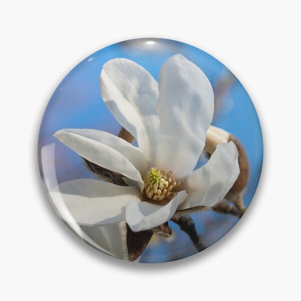 Item preview, Magnolia Blossom designed and sold by Kasia Design.