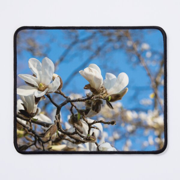 Item preview, Magnolia Blossom designed and sold by Kasia Design.
