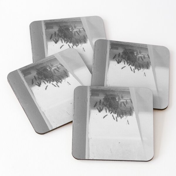 Item preview, Wasps designed and sold by katbphotos.
