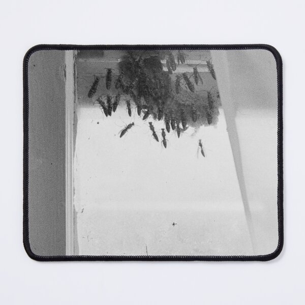 Item preview, Wasps designed and sold by katbphotos.