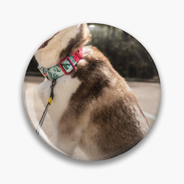 Item preview, Husky designed and sold by katbphotos.
