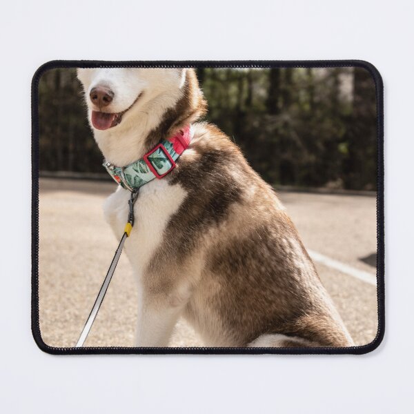 Item preview, Husky designed and sold by katbphotos.