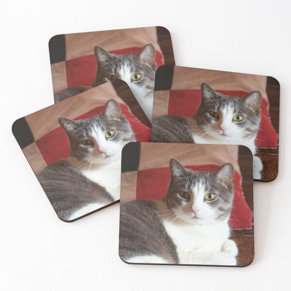Item preview, Grey and White Cat on Brown Background designed and sold by Vivar Photo.