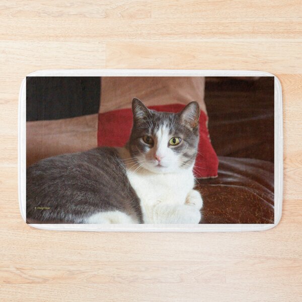 Item preview, Grey and White Cat on Brown Background designed and sold by Vivar Photo.