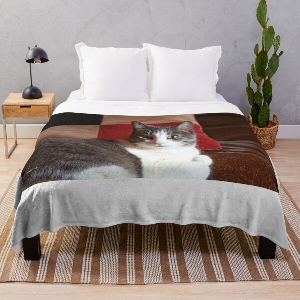 Item preview, Grey and White Cat on Brown Background designed and sold by Vivar Photo.
