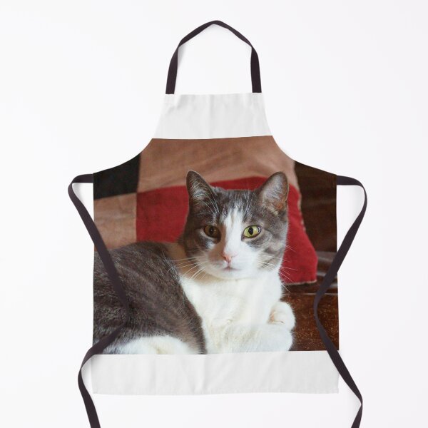 Item preview, Grey and White Cat on Brown Background designed and sold by Vivar Photo.