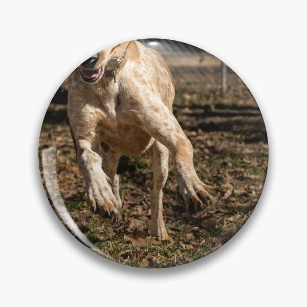 Item preview, Excitement designed and sold by katbphotos.