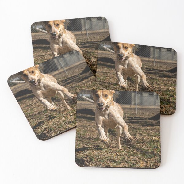 Item preview, Excitement designed and sold by katbphotos.