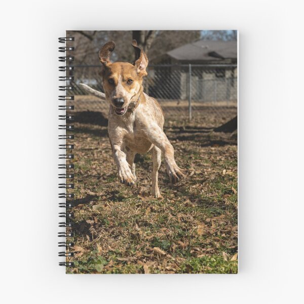 Item preview, Excitement designed and sold by katbphotos.