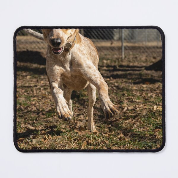 Item preview, Excitement designed and sold by katbphotos.