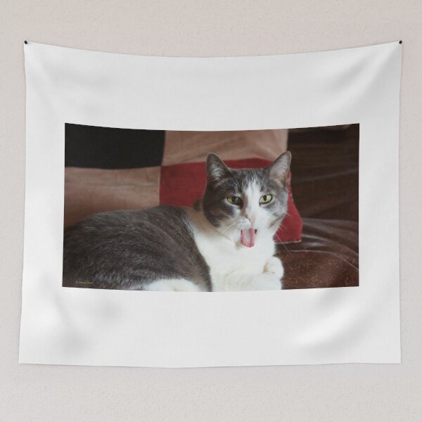 Item preview, Laughing Cat designed and sold by Vivar Photo.