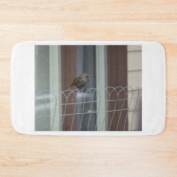 Item preview, Flicker on a Wire Fence designed and sold by Vivar Photo.