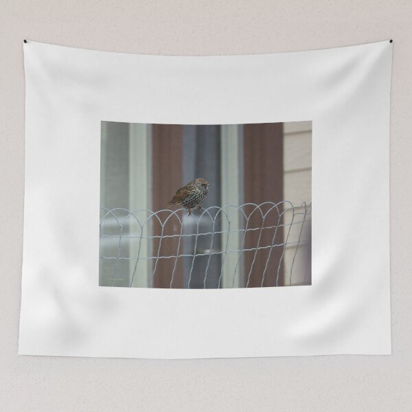 Item preview, Flicker on a Wire Fence designed and sold by Vivar Photo.