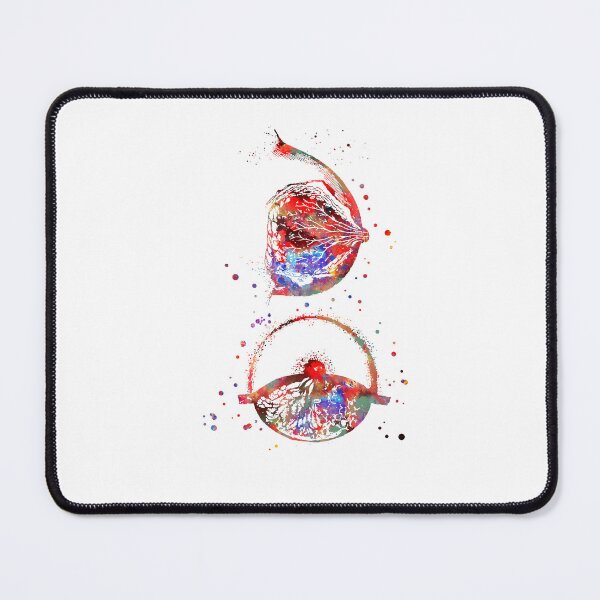 Item preview, Breast anatomy designed and sold by Rosaliartbook.