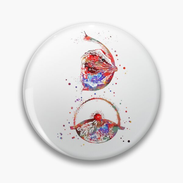 Item preview, Breast anatomy designed and sold by Rosaliartbook.