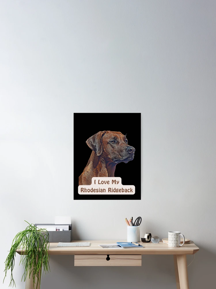 Thumbnail 2 of 3, Poster, I Love My Rhodesian Ridgeback designed and sold by NiftyTees.
