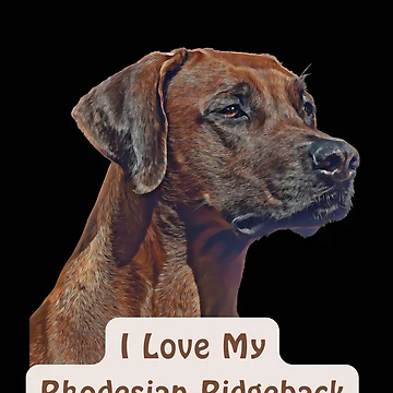 Artwork thumbnail, I Love My Rhodesian Ridgeback by NiftyTees