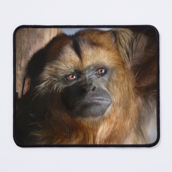 Item preview, Howler Monkey designed and sold by Savannah Gibbs.