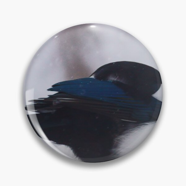 Item preview, Shelter - Magpie, Head Under Wing designed and sold by Vivar Photo.