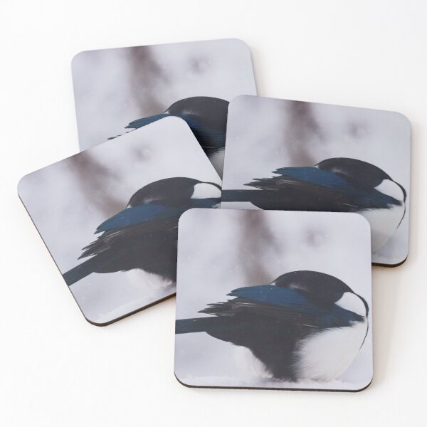 Item preview, Shelter - Magpie, Head Under Wing designed and sold by Vivar Photo.