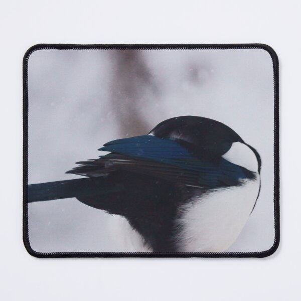 Item preview, Shelter - Magpie, Head Under Wing designed and sold by Vivar Photo.