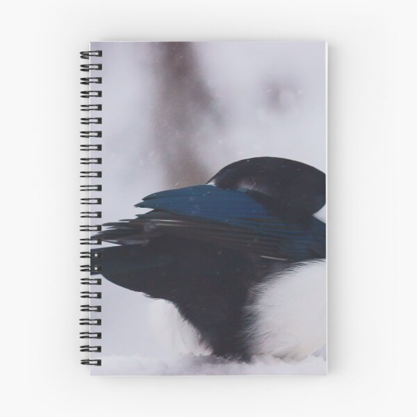 Item preview, Shelter - Magpie, Head Under Wing designed and sold by Vivar Photo.