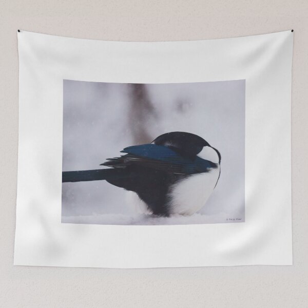 Item preview, Shelter - Magpie, Head Under Wing designed and sold by Vivar Photo.