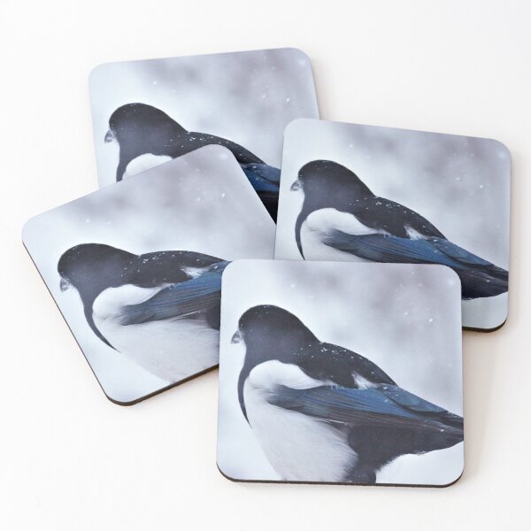 Item preview, Pardon My Back - Magpie designed and sold by Vivar Photo.