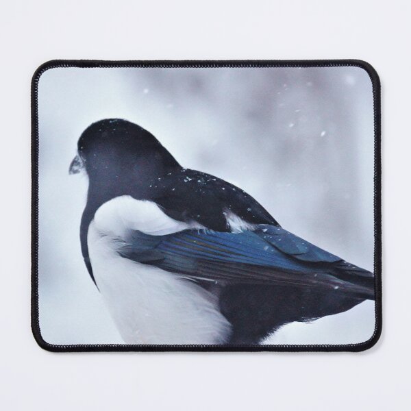 Item preview, Pardon My Back - Magpie designed and sold by Vivar Photo.