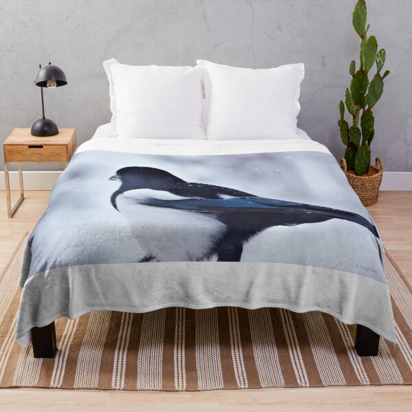 Item preview, Pardon My Back - Magpie designed and sold by Vivar Photo.