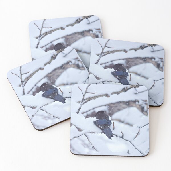Item preview, Snow Bird designed and sold by Vivar Photo.