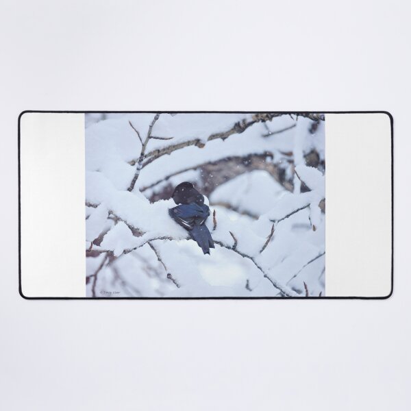 Item preview, Snow Bird designed and sold by Vivar Photo.