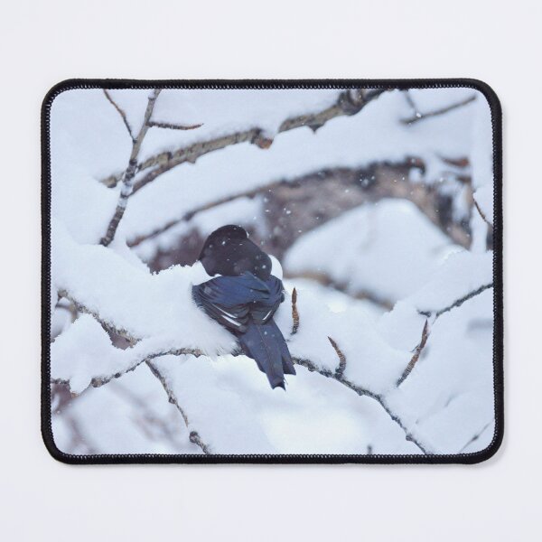 Item preview, Snow Bird designed and sold by Vivar Photo.